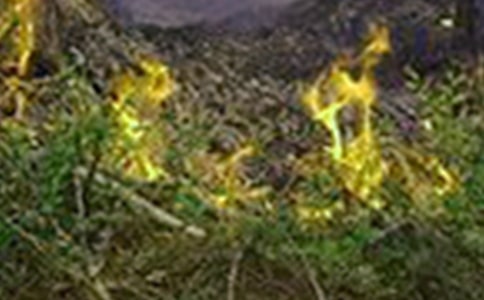 火灾事故的心得