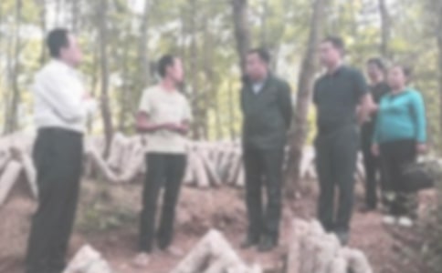 大学纪检部工作计划14篇