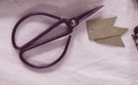 Сలȫʹüȫ̰ѡ6ƪ