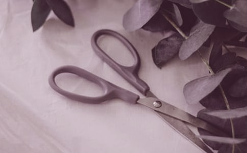 那把生锈的剪刀