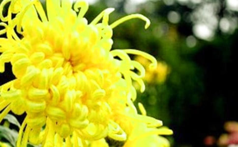 Խ̰ҵֿɣ˿ջ̰ѧ˼