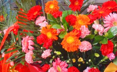 瑞文家园开张了,欢迎大家来种田、买卖、赚钱、买车。。。