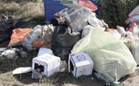 垃圾处理的调研报告