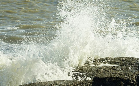 西师版《看浪花》的教学反思