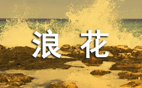 《浪花》教学反思范文