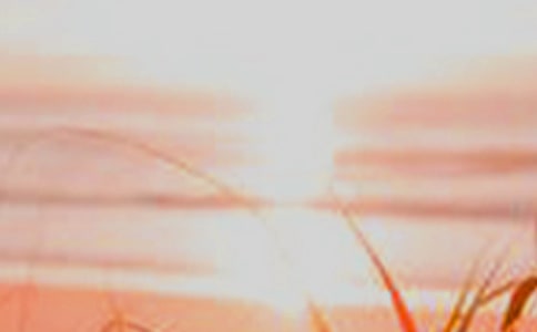 信念是黎明的曙光,《中国机长》观后感1000字