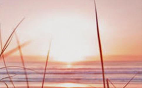 黎明的通知 教案教学设计