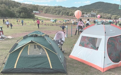 一起去露营大班社会教案