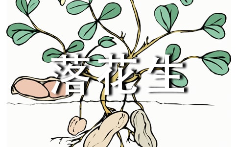关于落花生说课稿范文汇编5篇