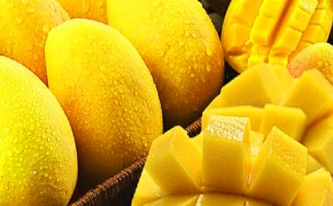 芒果说明文