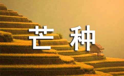 关于二十四节气之一“芒种”高中作文素材