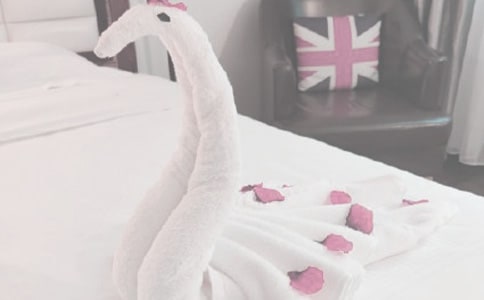 《我帮妈妈拧毛巾》教案