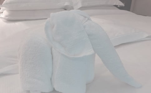 小班社会领域教案《小毛巾》教案与反思