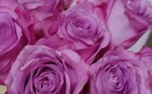 小鹿的玫瑰花教学反思(精选11篇)