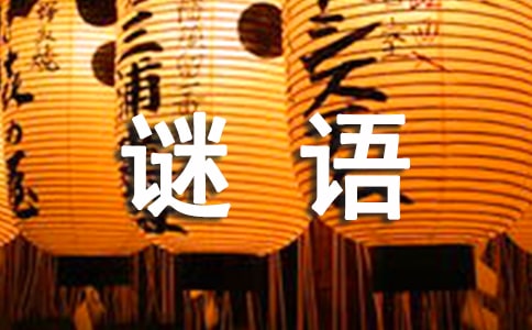 创新题型预测:灯谜、谜语(网友来稿)