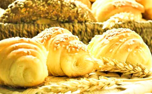 面包车出租合同