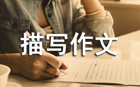 小学人物外貌描写作文