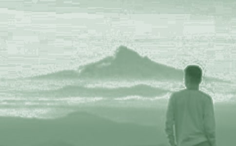 我们家的男子汉(苏教版七年级) 教案教学设计