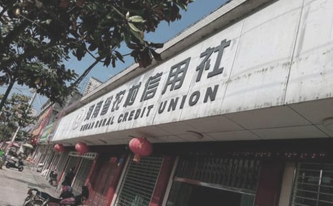 农村信用社调研报告