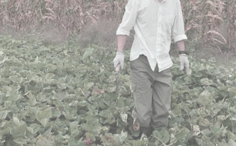 农作物种子加工合同(集合3篇)