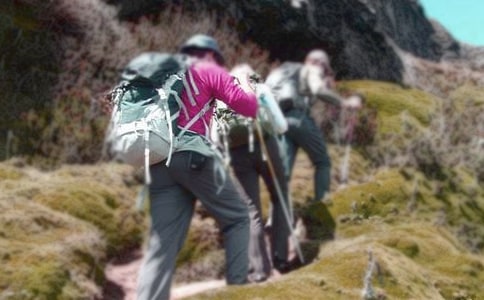 《爬山虎的脚》教学反思(优秀)