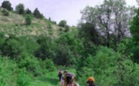 《爬山虎的脚》教学反思15篇