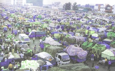 商品批发购销合同