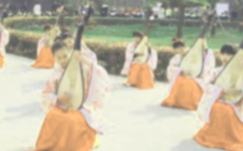 《琵琶行》简案(网友来稿) 教案教学设计