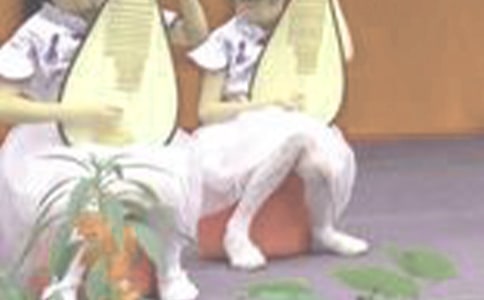 《琵琶行(并序)》教案(人教版高二必修) 教案教学设计