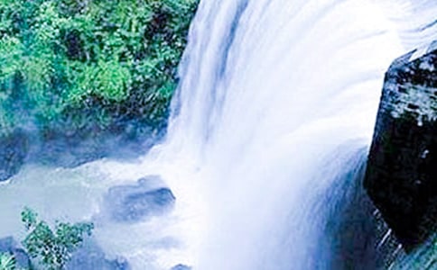 《紫藤萝瀑布》 学案设计(人教版七年级上册)