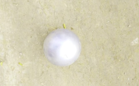 铅球加油稿18篇