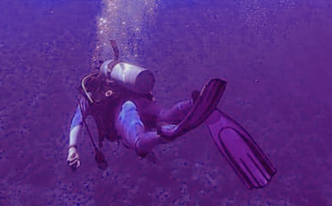 潜水的滋味日记