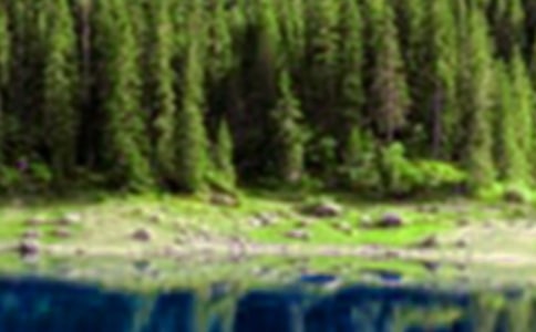 《山水田园诗四首》 教案教学设计(粤教版高二下册)