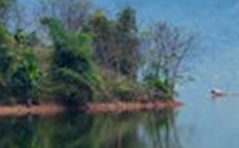 ɽˮȤƳ--ǳԪ˼顷()