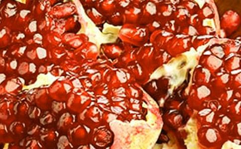 石榴树小学作文十篇