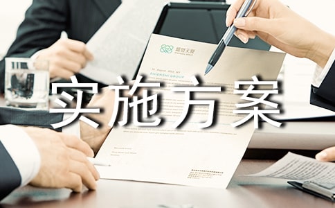 国家安全工作实施方案