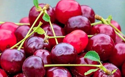 大班健康教案及教学反思《运水果》