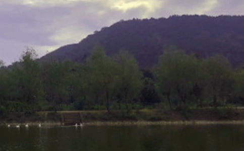 水库工程承包合同6篇