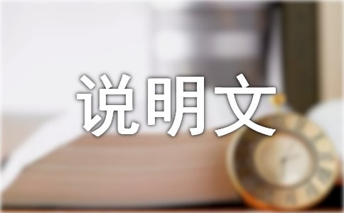 做包子程序说明文