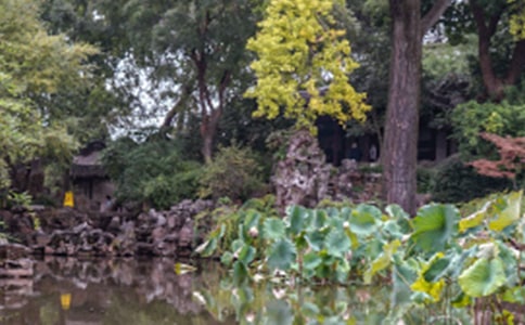 《苏州园林》教学反思15篇