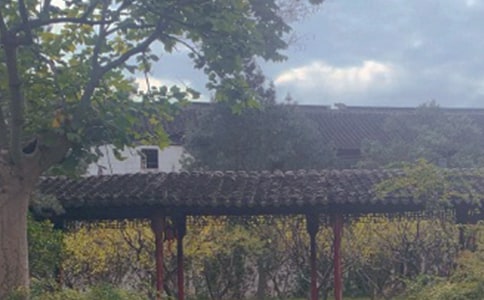 ԰֡ʱ ѧ(ս̰꼶ϲ)