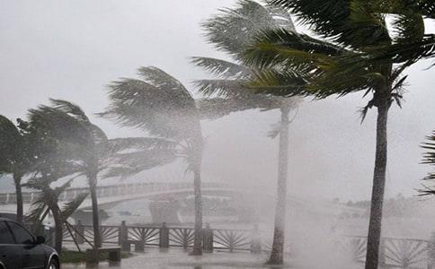 中班安全教案台风来了