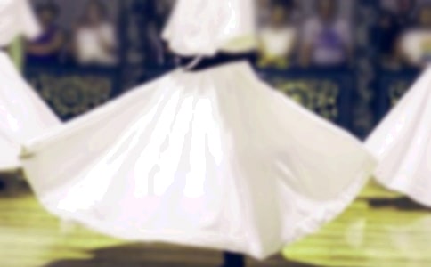 《会跳舞的罐宝宝》优秀说课稿