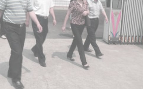 统计局工作计划九篇