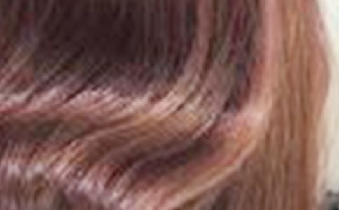 馒头发霉了说课稿范文