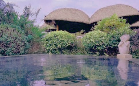 泡温泉初中作文