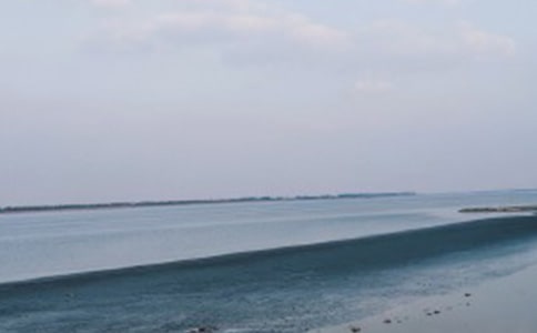 我们看海去读书笔记