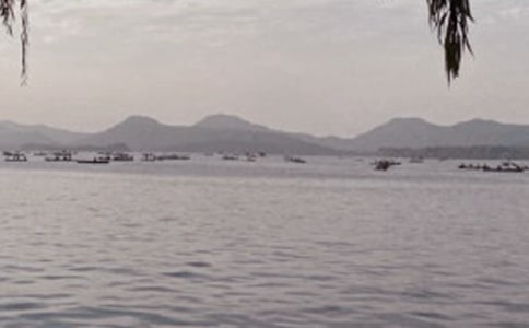 关于西湖的作文--小学生范文