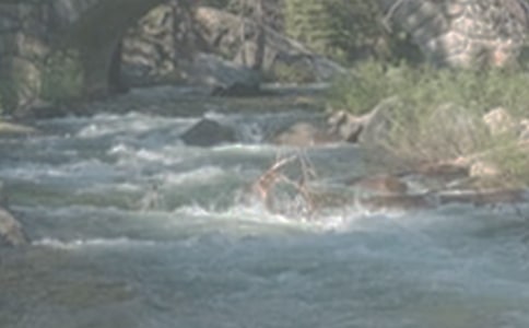 《小溪流的歌》的教案