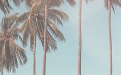 夏季安全保证书15篇